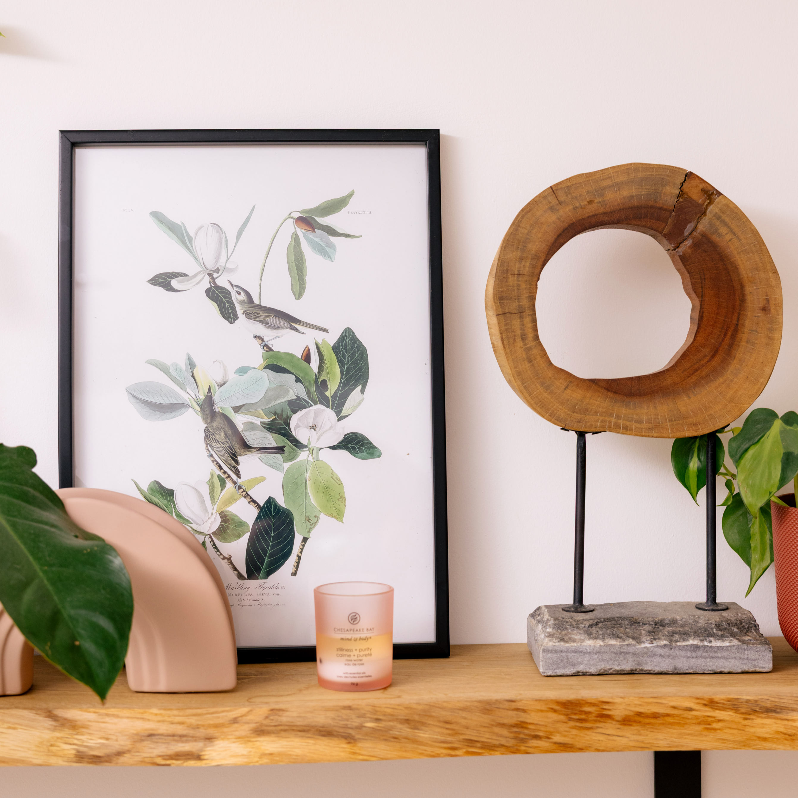 Warbling Flycatcher Print